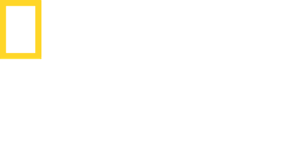Nat Geo Wild